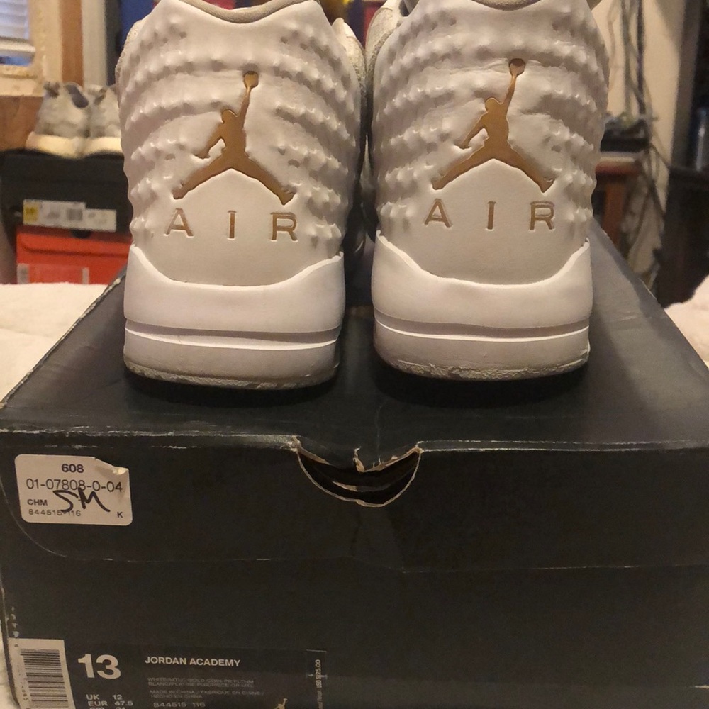 Air Jordan roaches
